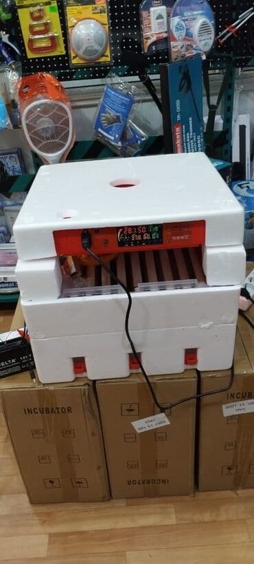qirqovul satilir: Inkubator inkubatorlarin birinci əl satişi mağazamizda olan inkubator — 3