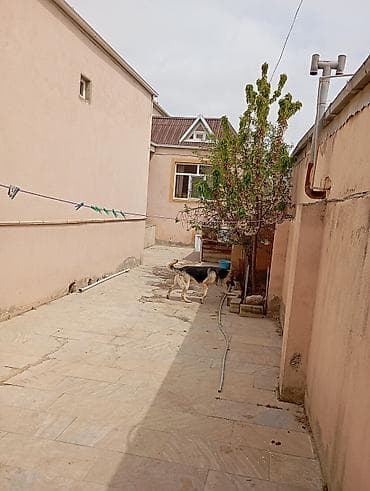 Salam 😊 Evin satışı ilə bağlı yazıram. Təcili olaraq 100 m² sahəsi