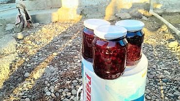 turşu: Məhsul: Ev üsulu qaragat mürəbbəsi Təsvir: - Şüşə bankalarda — 2