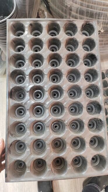 yonca toxum: Buşitil qabi
104şitilqAbi
torf250lulitrlik
torf ekolay
torf balaken — 11