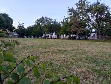 lokbatanda torpaq satilir 2022: 16 sot, Maklerlər narahat etməsin, Kupça (Çıxarış) — 1