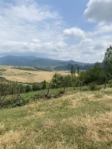bulbulə torpaq: 15 sot, Tikinti — 10