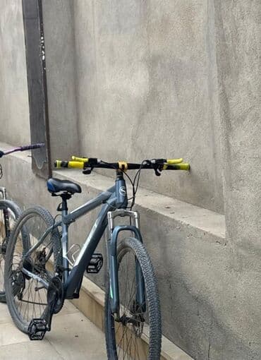 Dağ velosipedi Saft, 29"