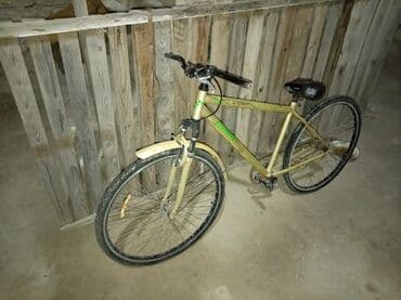 алиса купить в баку: Reyal Alçi yigsin Heç bir pirablemi yoxdu saz veziyədədi pul lazimdi — 4