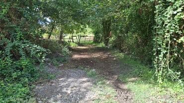 20 sot, Maklerlər narahat etməsin, Kupça (Çıxarış)