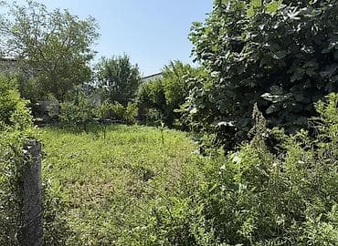 4 sot, Tikinti, Mülkiyyətçi, Bələdiyyə, Kupça (Çıxarış), Müqavilə