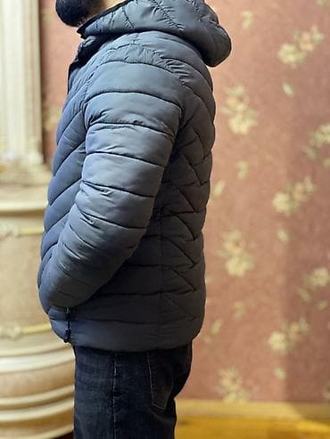 the north: Kurtka, Bolonka, Yaz, The North Face, L — 5