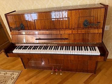 Piano, Belarus, Akustik