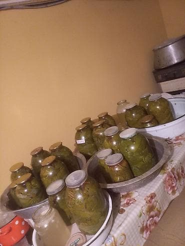 ət otu bitkisi: ŞƏKI RAYONU!Məhsul: Üzüm yarpağı – duzlu-banka (sarma üçün) Təsvir: - — 3
