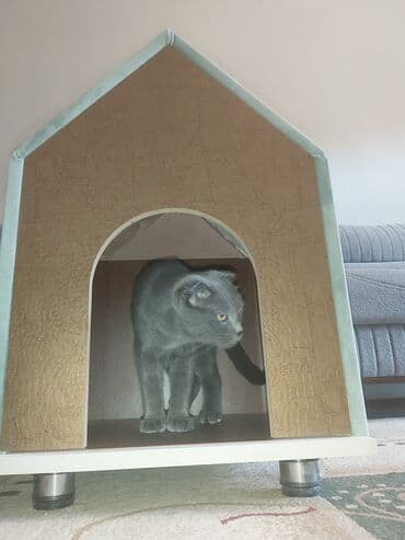 pişik ev: Pişik üçün ev. Akril Laminat 18 lik. Ölçüləri : Hündürlük 70 sm. Eni — 4