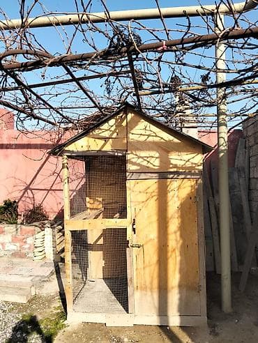 Домики: Qusxana. Uzunluq 2.60 san hündürlük 3 metir eni 1.53 — 3