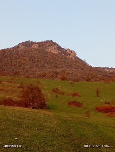 i̇ş elani: Bağban, 50 yaş, 3-5 illik təcrübə — 2