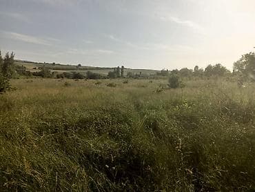 divanlar ucuz: Salamı aleykum İsmayıllı rayonunda özündə belə bir gözəl torpaq sahəsi — 3