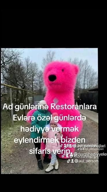 Xüsusi günlər üçün nəhəng ayı maskotu ilə tədbirə çıxış xidməti. -