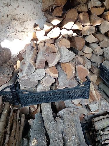 islenmis kubik: Qablaşdırılmış odun və kindling dəstləri. Ünvan : Binə qəsəbəsi — 8