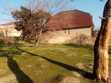 xacmazda dasinmaz əmlak: 15 sot, Mülkiyyətçi, Bələdiyyə — 4