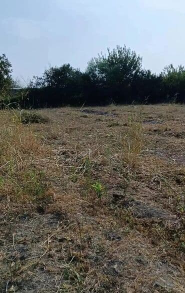 Qarajlar: 25 sot, Biznes üçün, Mülkiyyətçi, Bələdiyyə — 2