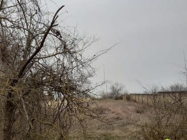 ferma icarəyə verilir: 25 sot, Tikinti, Mülkiyyətçi, Kupça (Çıxarış) — 3