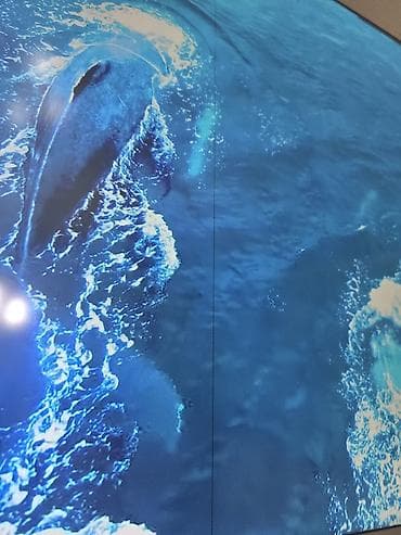İşlənmiş Televizor Toshiba LED ekran 50" 4K (3840x2160), Ünvandan götürmə, Ödənişli çatdırılma — 6