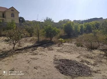 rest time novxani: 24 sot, Tikinti, Kupça (Çıxarış) — 5