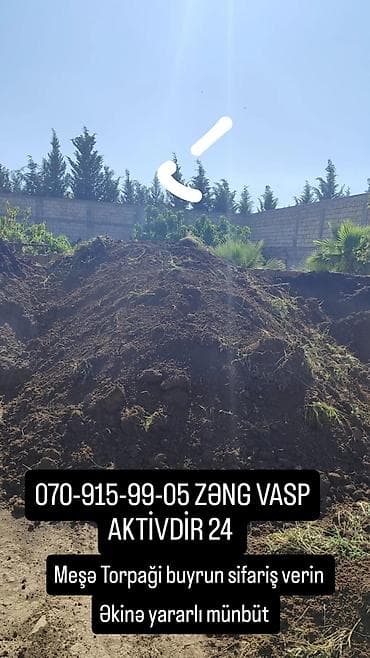 070-915-99-05 - Meşə torpağı, qara torpaq və qazon altı torpaq. -