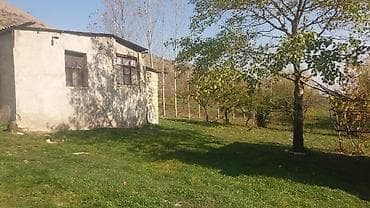 samaxi villa kiraye: 580 sot, Kənd təsərrüfatı, Makler, Kupça (Çıxarış) — 5