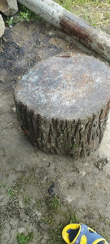 ikinci əl qaz sobası: Ağac kötüyü – iri diametrli kəsilmiş gövdə parçası - Material: təbii — 1