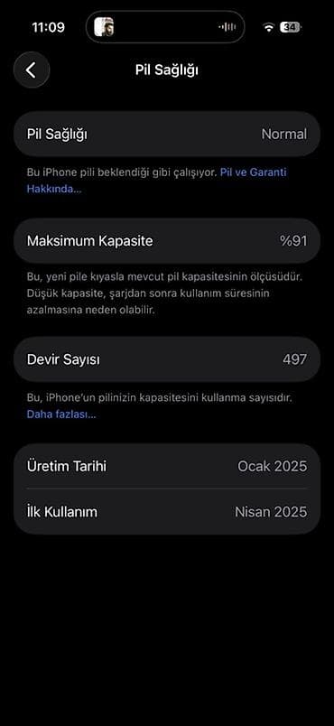 IPhone 16 Pro, 256 GB, Gümüşü, Face ID
