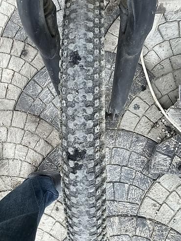 Велосипеды: Şəhər/mtb tipli velosiped – tək sürət Texniki xüsusiyyətlər: - Geniş — 5