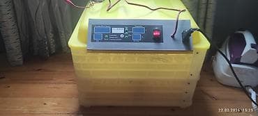 Сельско-хозяйственное оборудование: Полностью автоматическая — 1