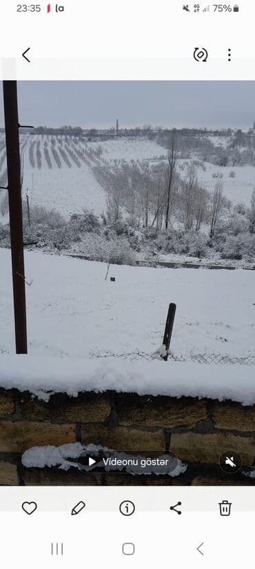 lenkeran torpaq satilir: Tikinti, Mülkiyyətçi, Kupça (Çıxarış) — 7