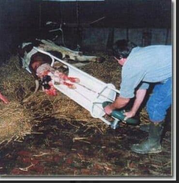 yonca presi qiymeti 2025: Sezer araba 
Yeni 
Türkiyə istehsalı — 3