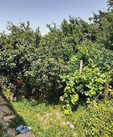 3 otaqlı, 116 kv. m, Orta təmir