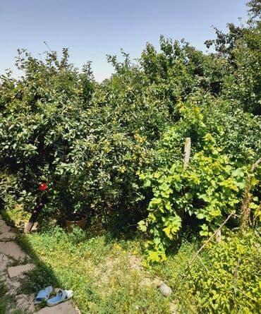 badamdar qəsəbəsi: 3 otaqlı, 116 kv. m, Orta təmir — 1