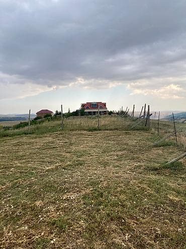 hamarmeşə kəndi: 12 sot, Tikinti, Mülkiyyətçi, Kupça (Çıxarış) — 8