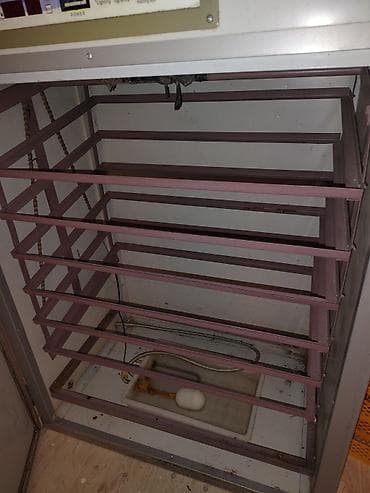 Kassa avadanlığı: 1100 yumurta, Tam avtomat — 2