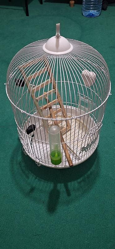 Ağ rəngli, dairəvi formalı quş qəfəsi - Material: metal barmaqlıqlar