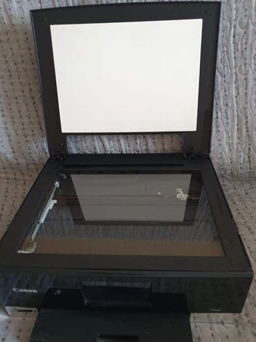 принтер canon: Canon PIXMA TS8240 — 2