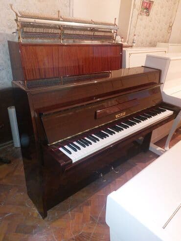 piano dersleri baki: Pianino PETROF Cexiya stehsalı. İdeal vəziyyədə. Cadrılma və köklənmə — 2