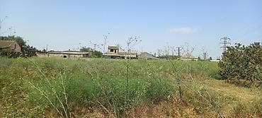 Qarajlar: 50 sot, Mülkiyyətçi, Kupça (Çıxarış) — 8