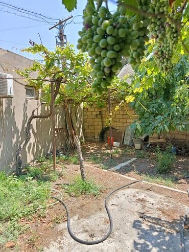 resulzade: M.Ə. Rəsulzadə qəs. 1 otaqlı, 40 kv. m, Kredit yoxdur, Yeni təmirli — 4