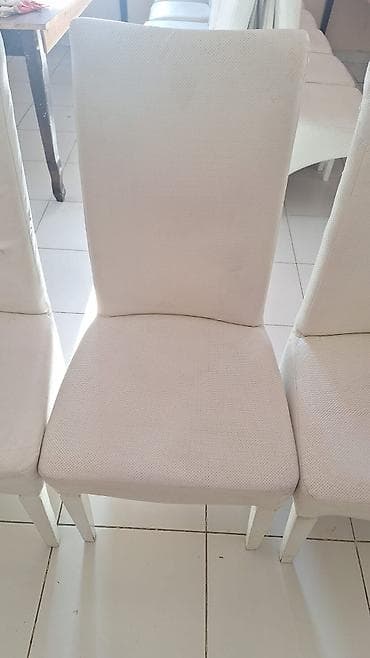 stul satilir: Stul 250 ededdi biri 17 azn satılır, möhkəm ve yumsaq stuldu ✨ Pərvn✅ — 1