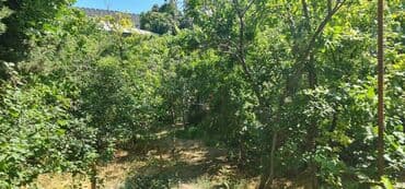 heyət evi: 5 otaqlı, 200 kv. m, Orta təmir — 6