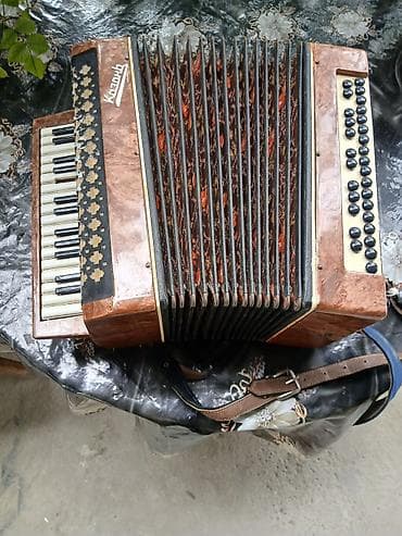 rus dili lüğət dəftəri: Akustik Akkordeon — 1