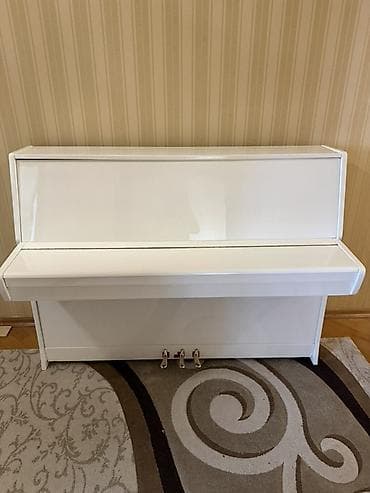 Клавишные инструменты: Пианино, Беларусь, Акустический, Новый — 5