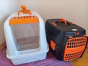 bala pişik ucuz: Pişik üçün aksesuarlar dəsti – Daşıma çantası/transportyor: Sərt — 3