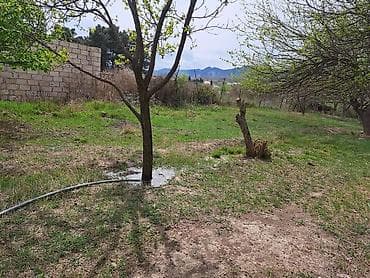 Продажа дач: Satışa təqdim olunur: yeni tikili həyət evi və geniş torpaq sahəsi 24 — 5