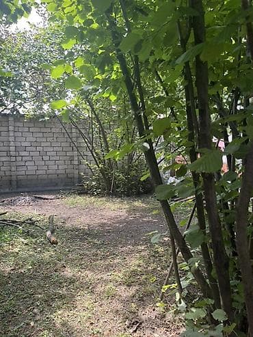 yaşmada torpaq: Kupça (Çıxarış) — 7