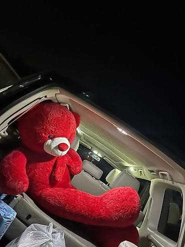 8 Marta Hədiyyən hələdə hazır deyil? onun bəyənəcəyi hədiyyəni seçmək