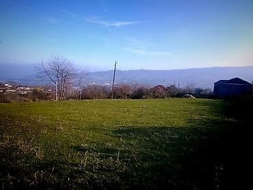 Otaqlar: 14 sot, Tikinti, Mülkiyyətçi, Kupça (Çıxarış) — 6